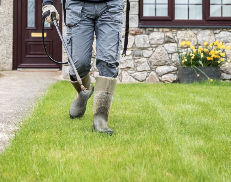 Spring Masonry in Action